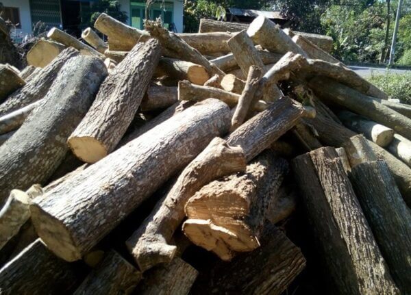 Gỗ dâu rừng thuộc nhóm nào?