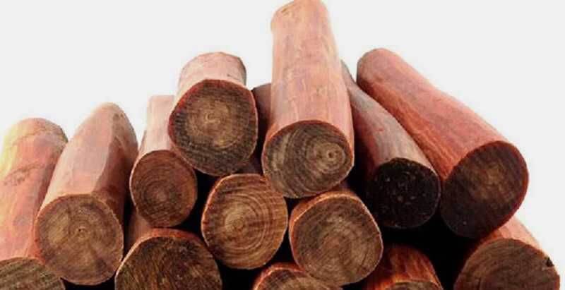 Gỗ huyết long là gì? Khám phá những ứng dụng bất ngờ trong nội thất