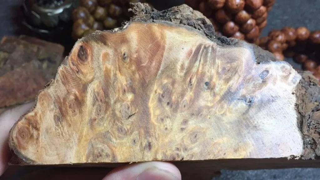 Gỗ huyết long rễ đen