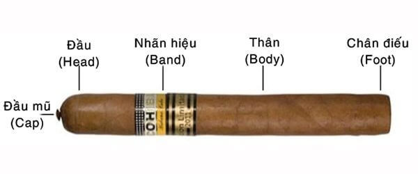 Hình dáng và cấu trúc điếu xì gà