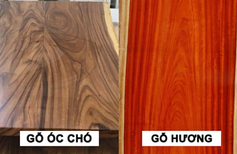 So sánh gỗ óc chó và gỗ hương