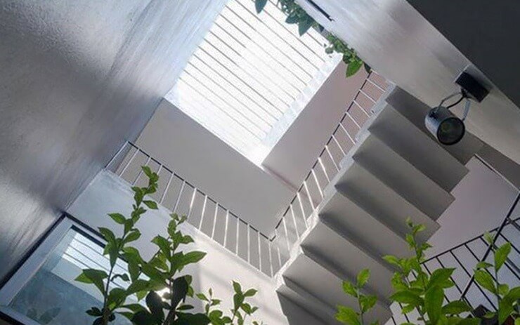 Cầu thang hiện đại với ánh sáng tự nhiên và cây xanh tạo không gian thoáng đãng trong ngôi nhà.