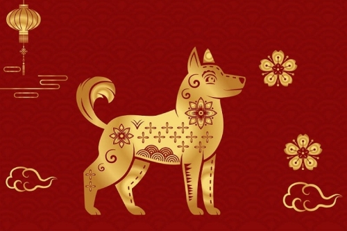 1982 hợp hướng nào? Bố trí hướng nhà chuẩn phong thuỷ