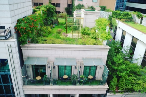 Chống nóng mái nhà: Top 10 giải pháp hiệu quả & bền vững
