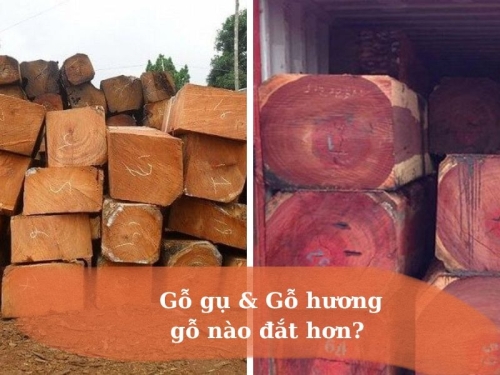 Gỗ Gụ Và Gỗ Hương Gỗ Nào Đắt Hơn? So Sánh Chi Tiết 2025