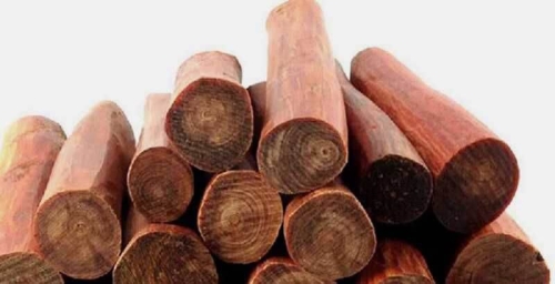 Gỗ huyết long là gì? Khám phá những ứng dụng bất ngờ trong nội thất