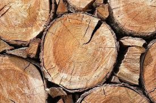 Gỗ phay là gì? Ứng dụng phổ biến trong nội thất hiện đại